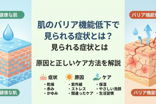 肌のバリア機能低下で見られる症状とは?原因と正しいケア方法を解説