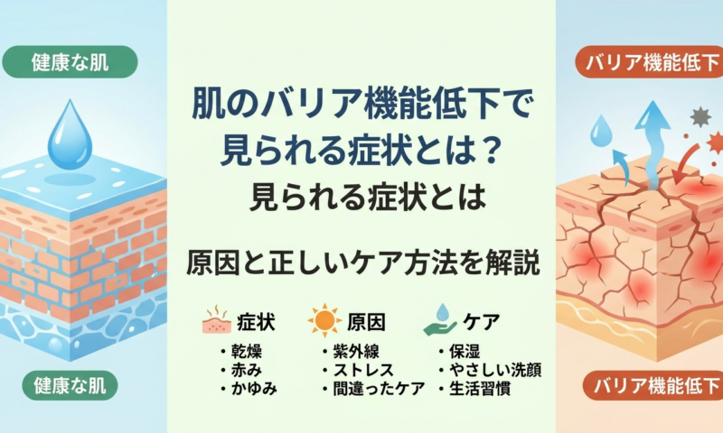 肌のバリア機能低下で見られる症状とは？原因と正しいケア方法を解説