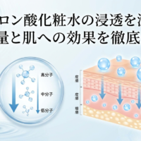 ヒアルロン酸化粧水の浸透を深掘り。分子量と肌への効果を徹底解説。