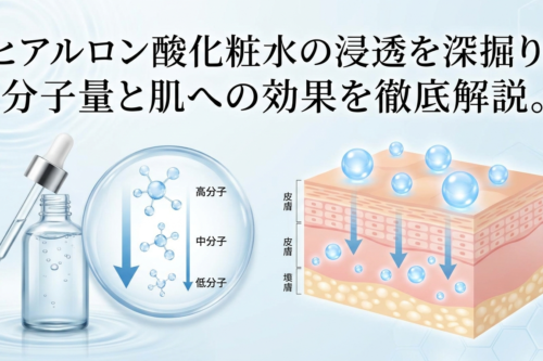 ヒアルロン酸化粧水の浸透を深掘り。分子量と肌への効果を徹底解説。