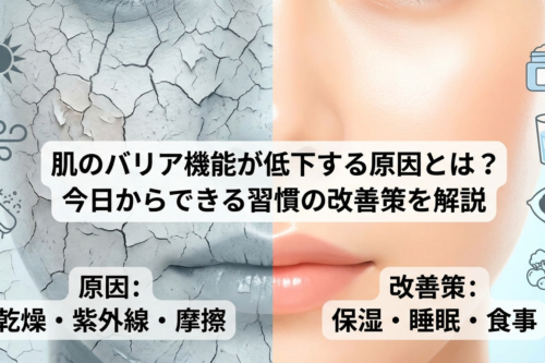 肌のバリア機能が低下する原因とは?今日からできる習慣の改善策を解説