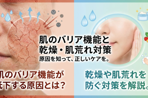肌のバリア機能が低下する原因とは？乾燥や肌荒れを防ぐ対策を解説。