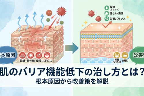 肌のバリア機能低下の治し方とは?根本原因から改善策を解説