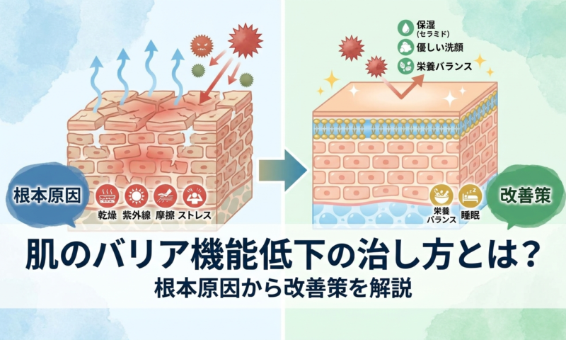 肌のバリア機能低下の治し方とは？根本原因から改善策を解説