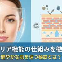 肌のバリア機能の仕組みを徹底解説。健やかな肌を保つ秘訣とは？