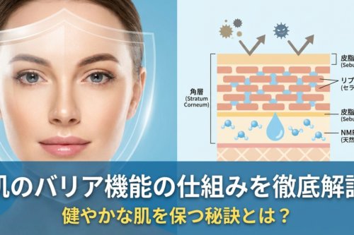 肌のバリア機能の仕組みを徹底解説。健やかな肌を保つ秘訣とは？